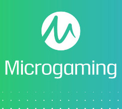 Micorgaming Slot Software