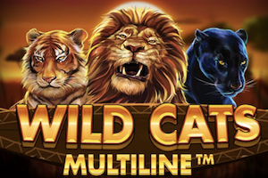 Jungle Cats Slot Machine