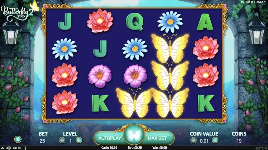 Gambling enterprise https://real-money-casino.ca/genie-jackpots-slot-online-review/ Actual Online game On the web