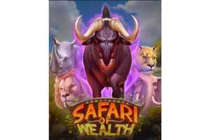 Safari of Wealth logo